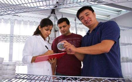 Dr. Bin Yu shows plates to Saadia and Tejinder